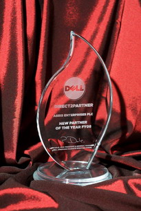 DELL distribution award